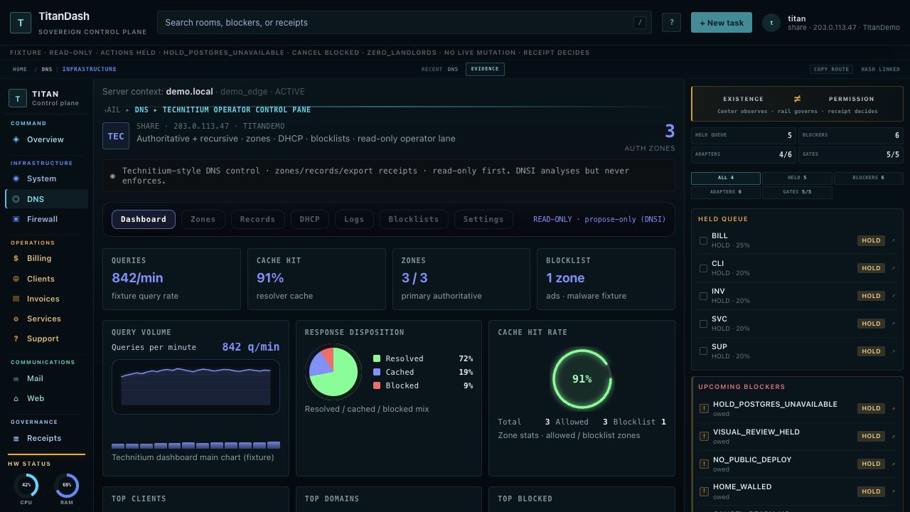 Actual TitanDash DNS workspace with query charts and resolver statistics